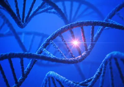 3D-rendered illustration of DNA with a highlighted point mutation. 3D-rendered illustration of DNA with a highlighted point mutation.
